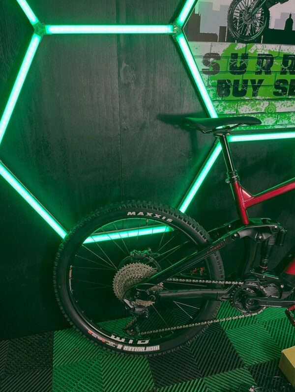 2024 Vitus E-Escarpe, Size L/XL - Image 4